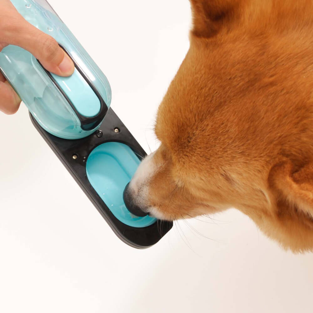 Bouteille d'eau portable pour chien - Océanarium