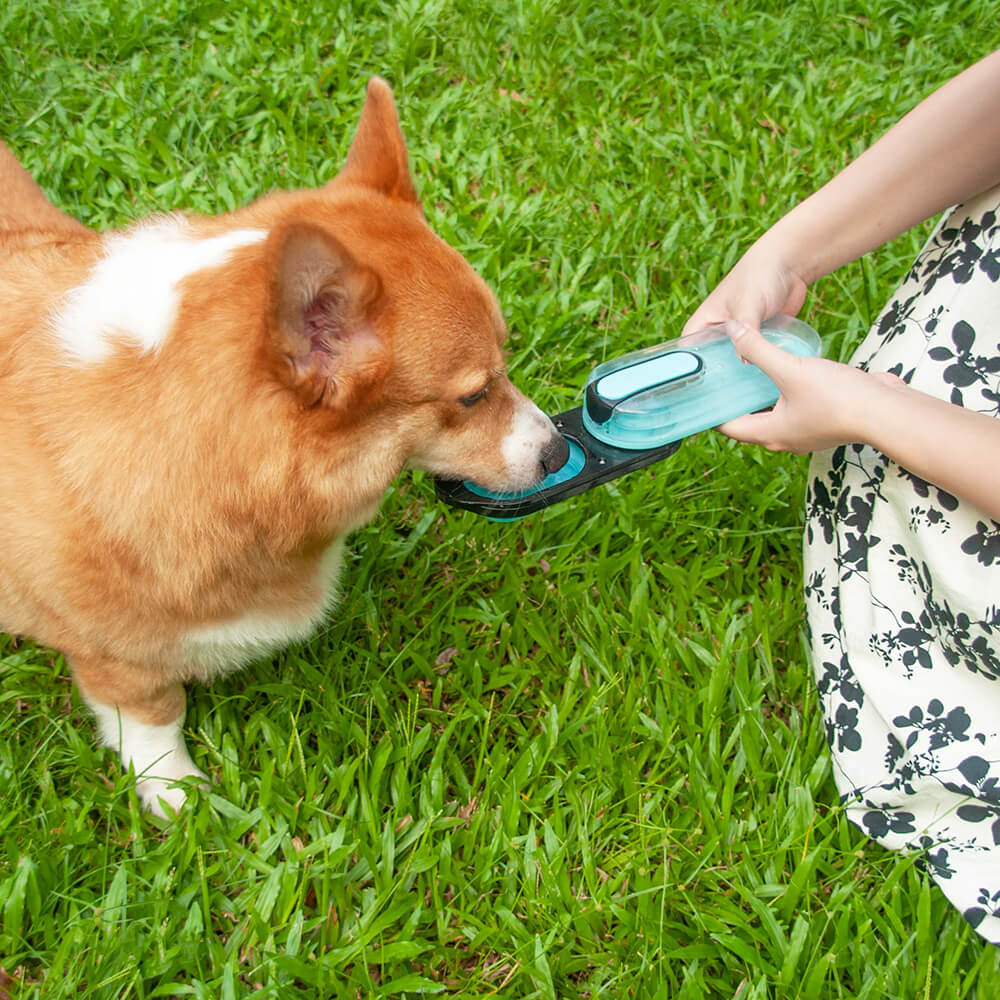 Dog Portable Water Bottle - Oceanarium