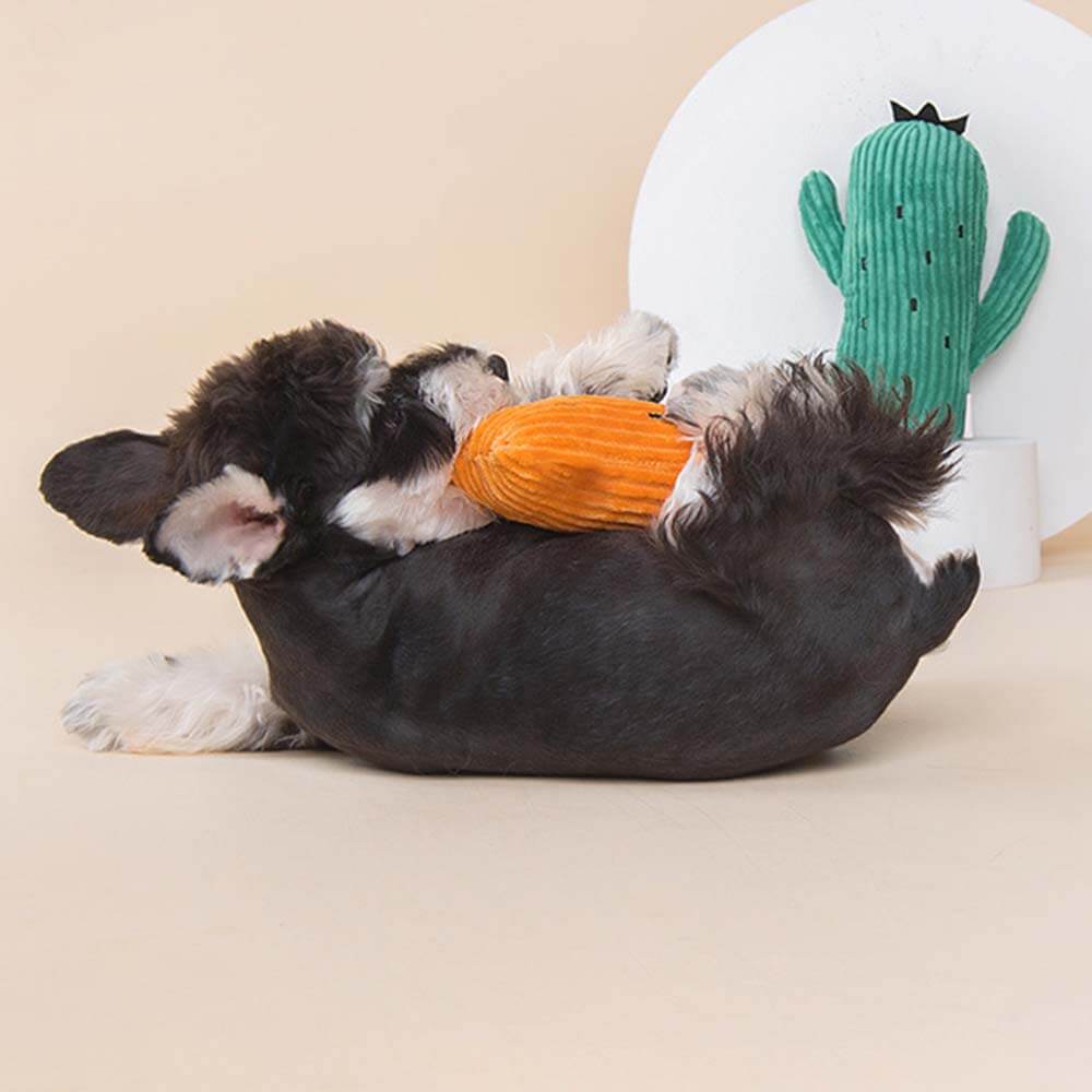 New Cactus Vegetables Pet Toy Pineapple Dog Toy Corn Fruit Cat Puppy Squeak  Toys