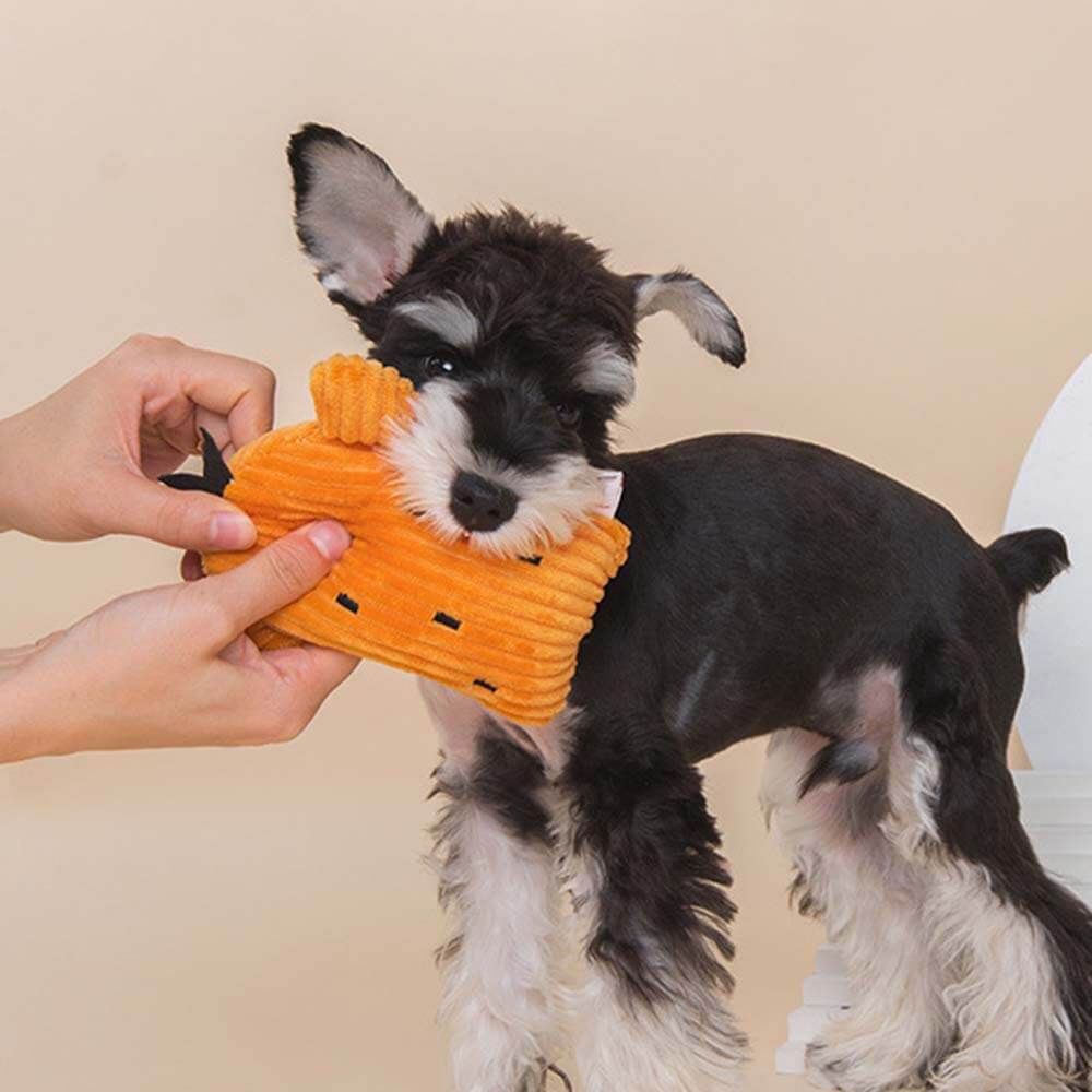 Plüsch-Quietschspielzeug-Set für Hunde – Kaktus