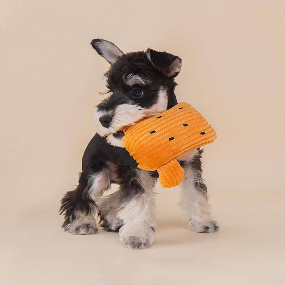 Plush Squeaky Dog Toy Set - Cactus