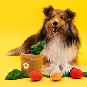 Plüsch-Quietschspielzeug für Hunde – Erdbeertopf