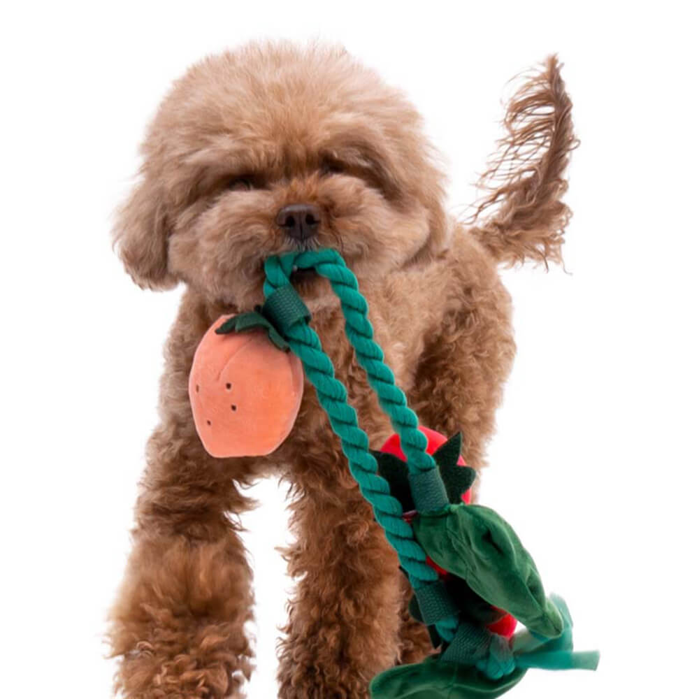 Plüsch-Quietschspielzeug für Hunde – Erdbeertopf