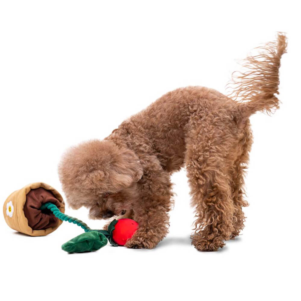 Dog Toy Gift Basket Set | Squeaky Chew Plush Treats Throw Interactive Toys