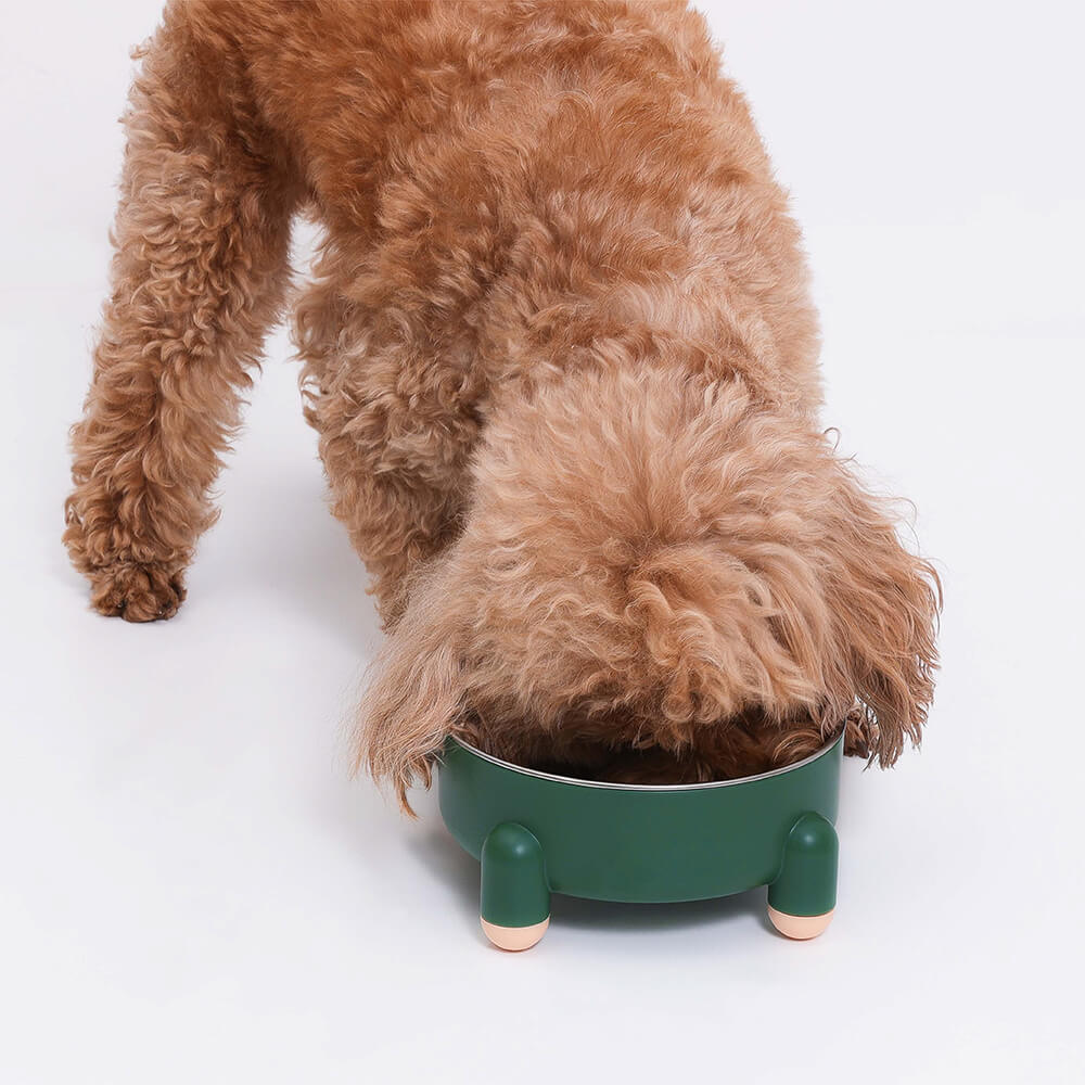 Dog Bowl - Tetrapod