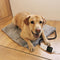 Thermostat Electric Waterproof Intelligent Constant Temperature Pet Heating Mat - FUNNYFUZZY