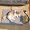 Thermostat Electric Waterproof Intelligent Constant Temperature Pet Heating Mat - FUNNYFUZZY