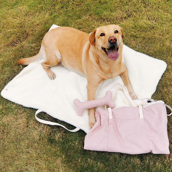 Dog Roll up Travel Mat, Waterproof Dog Mat, Portable Outdoor Dog