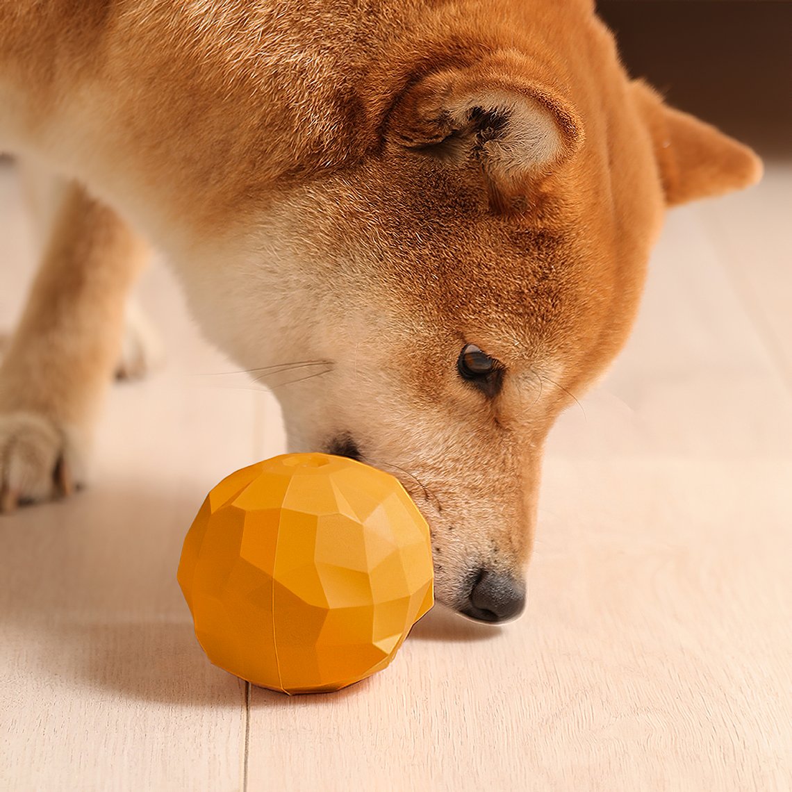 Fruit dog clearance toys