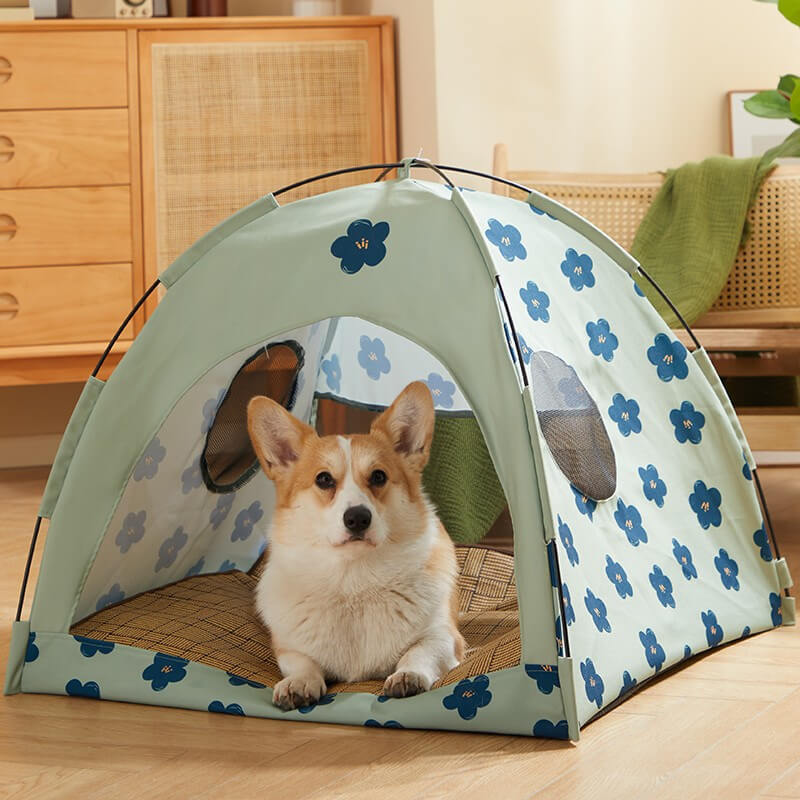 Tenda para gatos com cúpula de flor azul e cama para animais de estimação