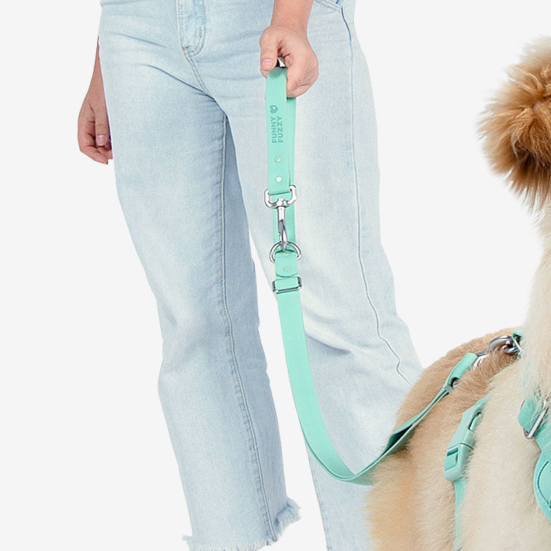 Kelly Green Velvet Designer Dog Leash – ‘Oscar’
