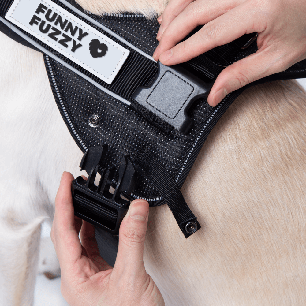 Harnais pour chien facile à porter 丨 Harnais anti-traction pour grand chien avec poignée