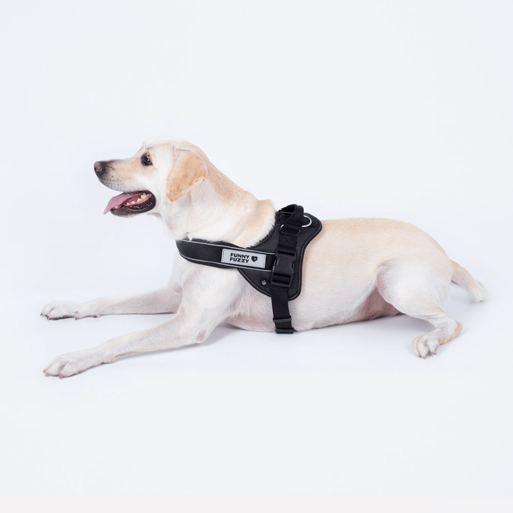 Harnais pour chien facile à porter 丨 Harnais anti-traction pour grand chien avec poignée