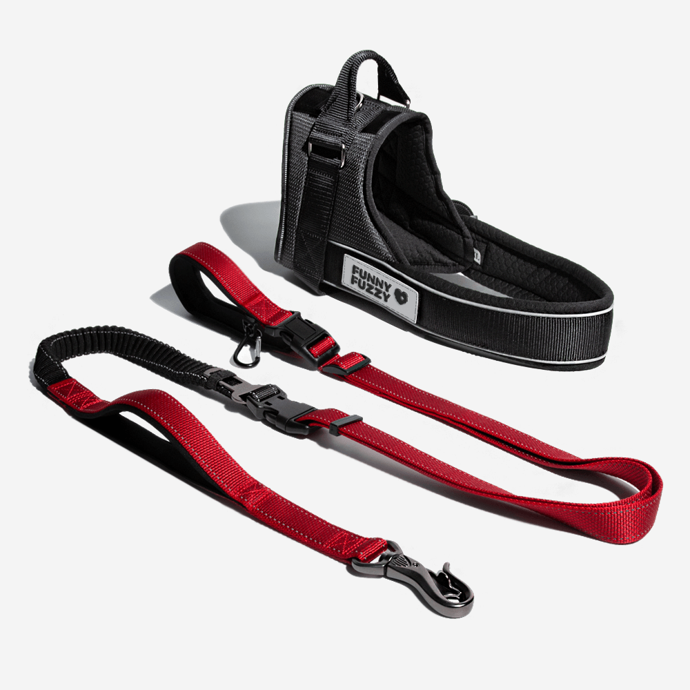 Non pull dog leash hot sale