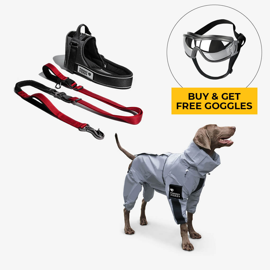 Swag & Safe Cool Dog Accessories Walk Set
