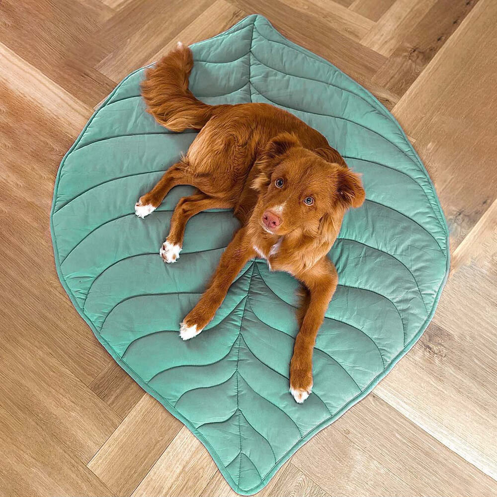 Cobertor para cachorro em formato de folha