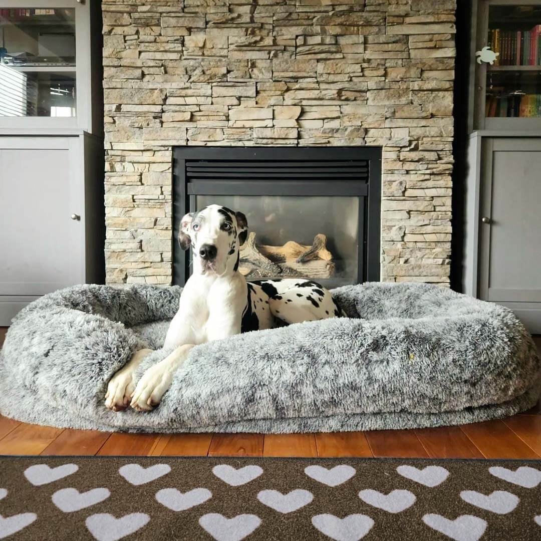 Luxury Super Large Sleep Deeper Oval Bed Human Dog Bed