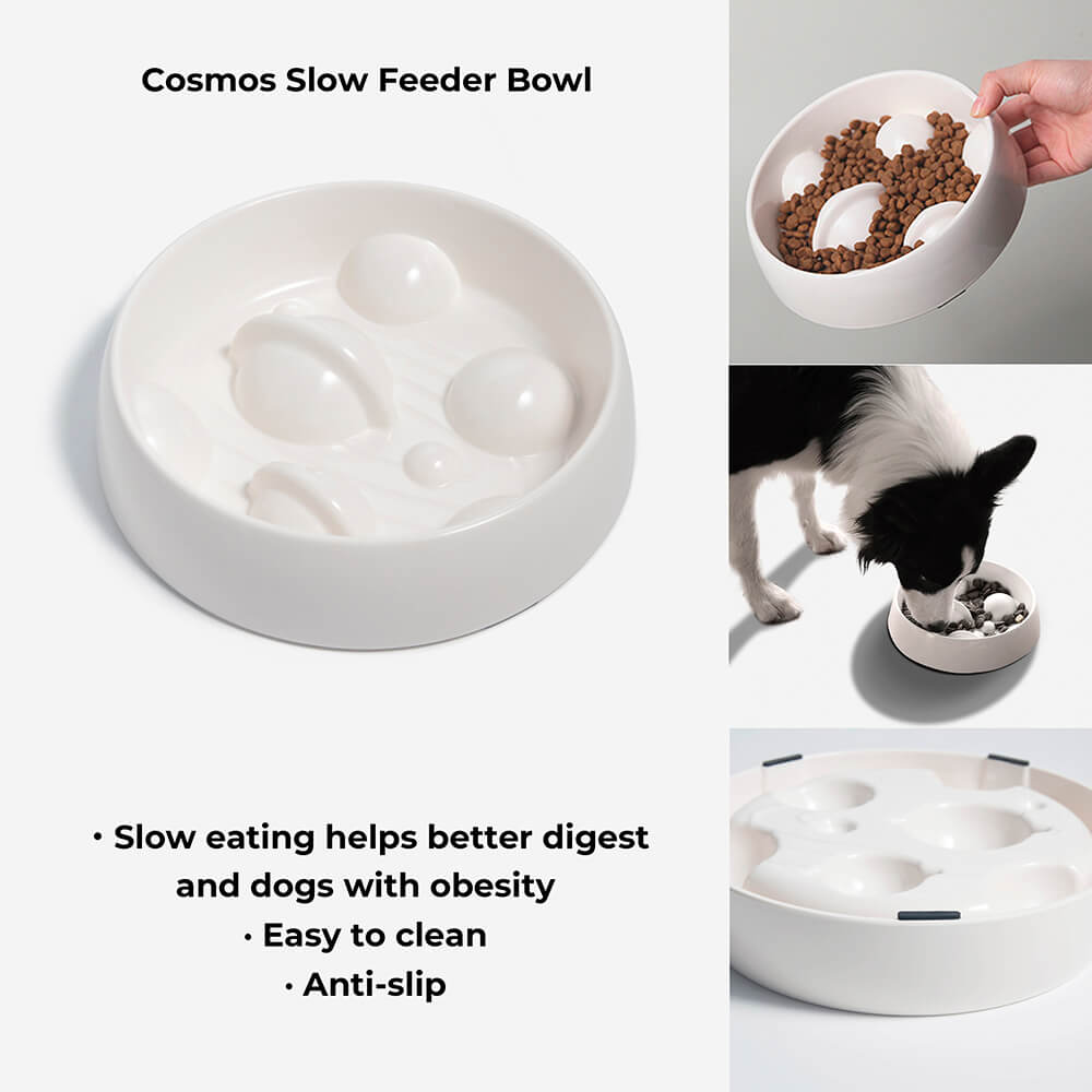 Cosmos Feeder Set For Dog